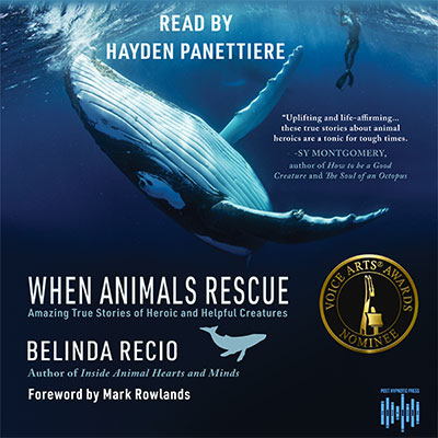 When Animals Rescue by Belinda Recio. Read by Hayden Panettiere