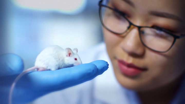 Inside Animal Hearts and Minds by Belinda Recio. Video Thumbnail