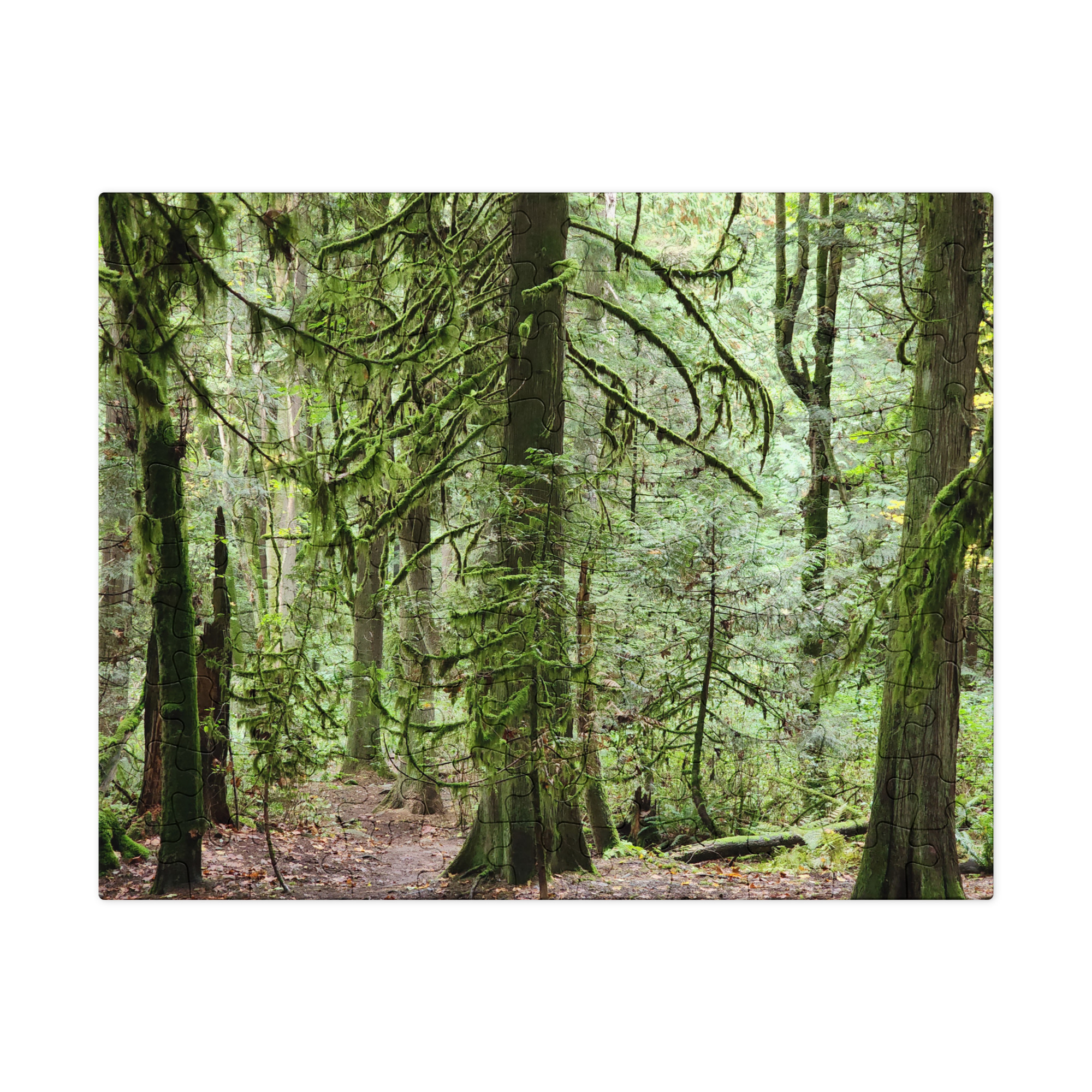 Forest for the Trees