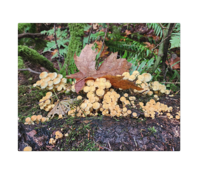 Mushrooms and leaves.