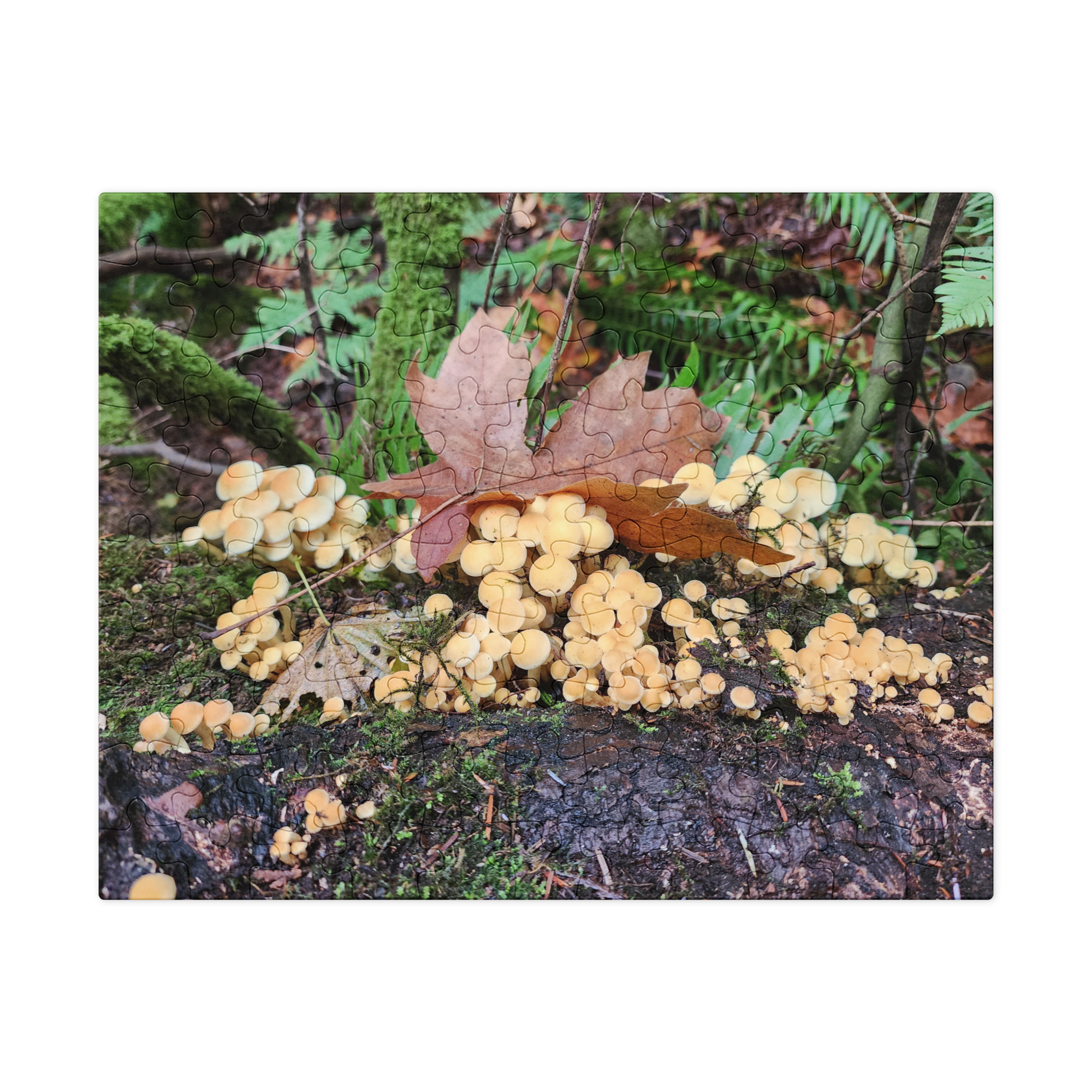 Mushrooms and leaves.