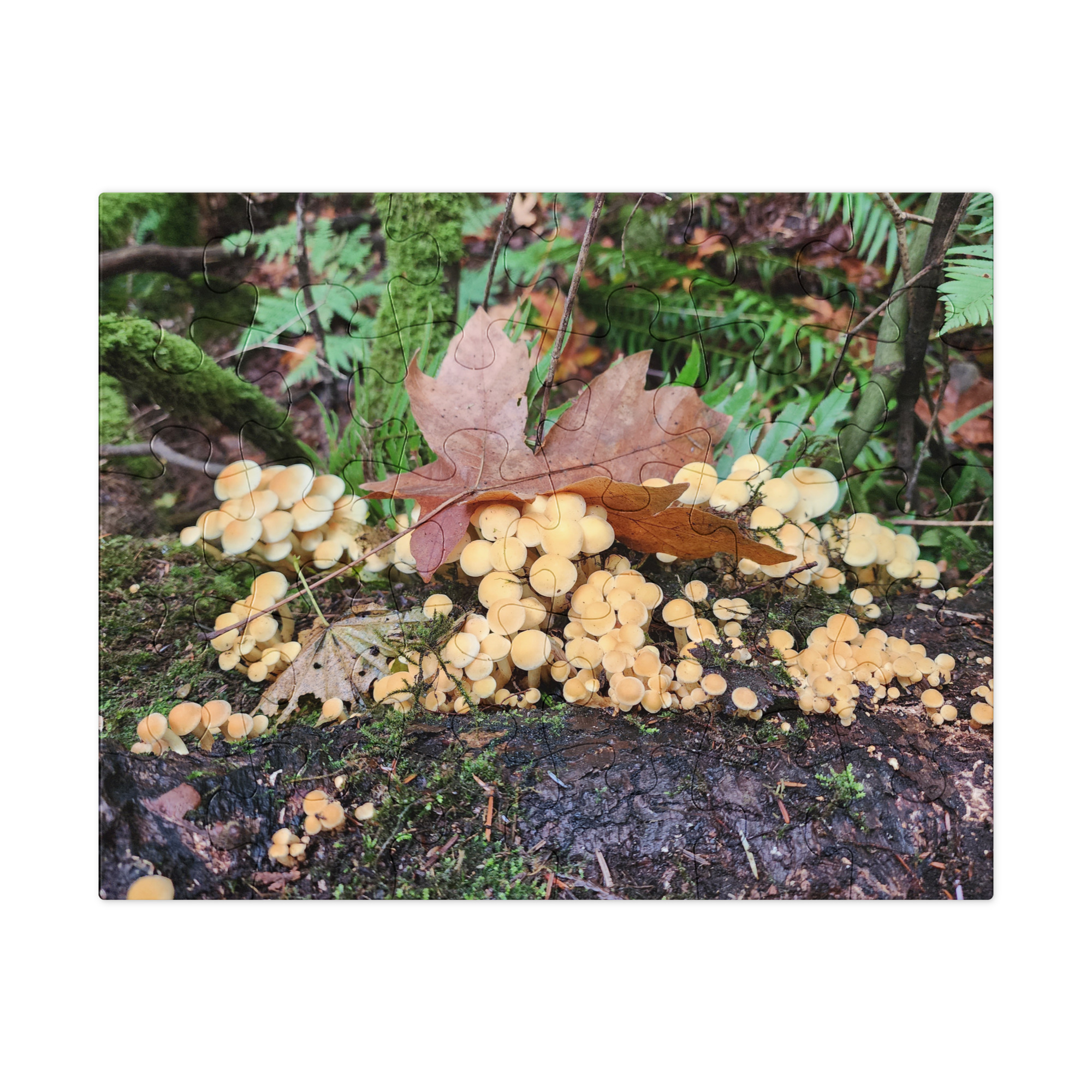 Mushrooms and leaves. - Image 4