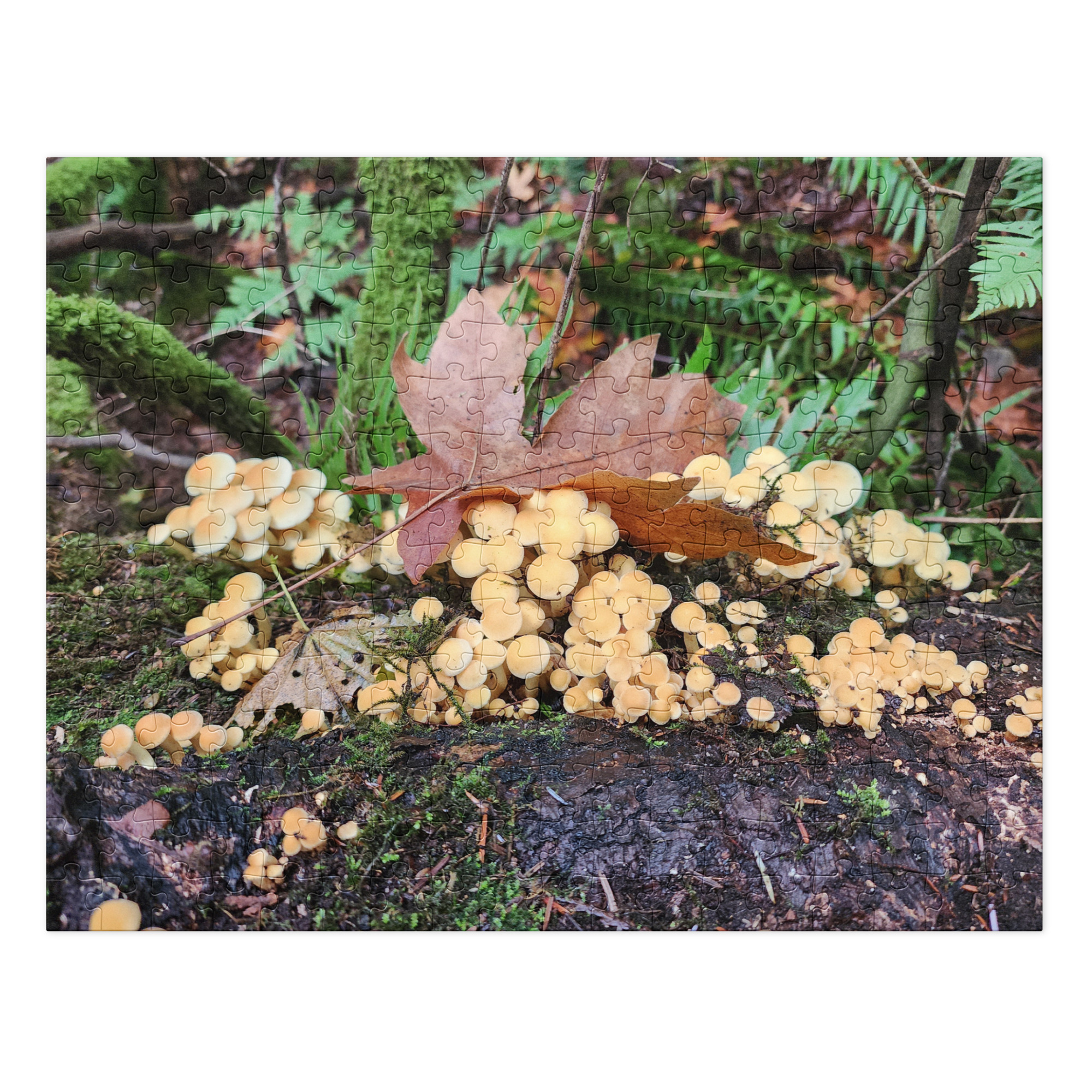 Mushrooms and leaves. - Image 3