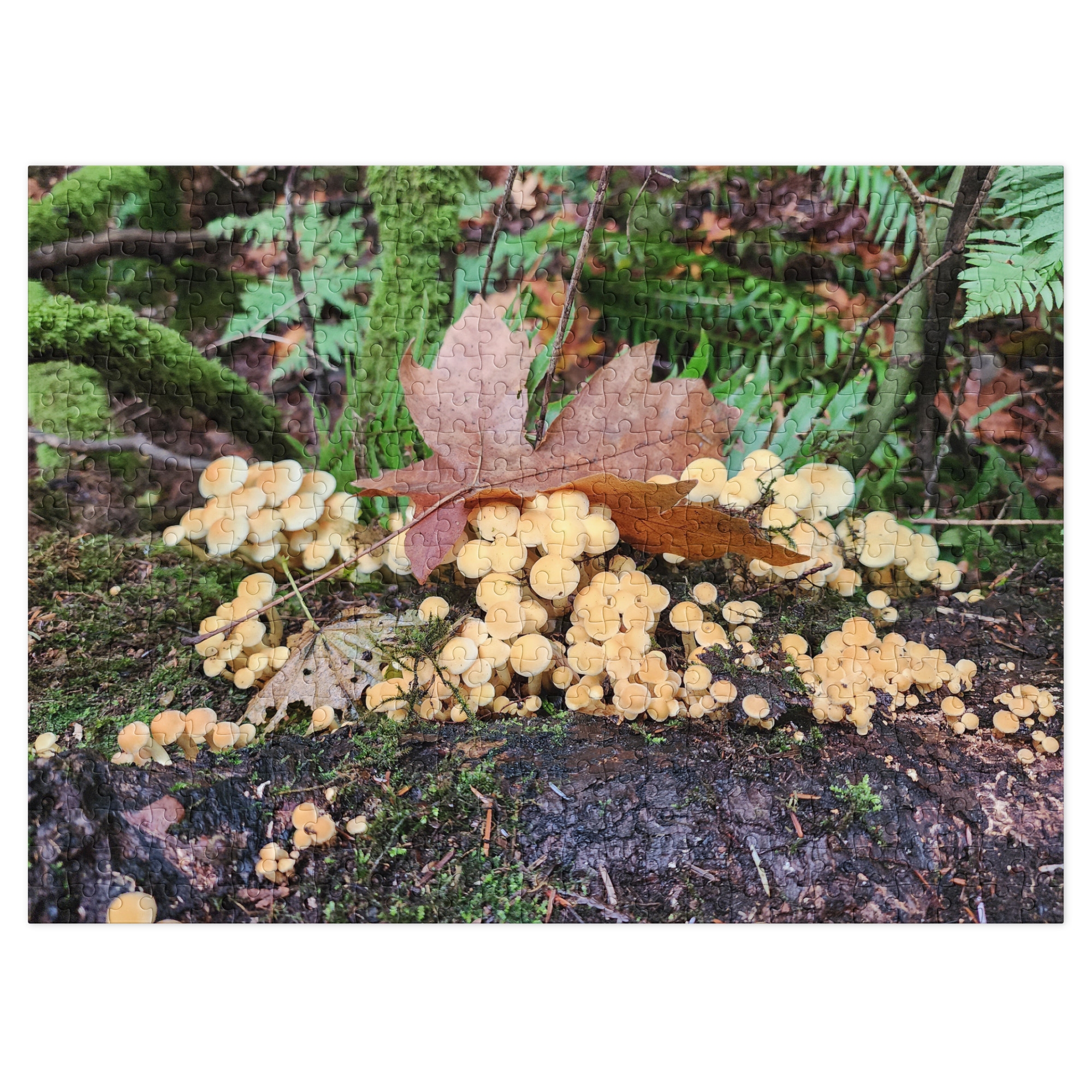Mushrooms and leaves. - Image 5