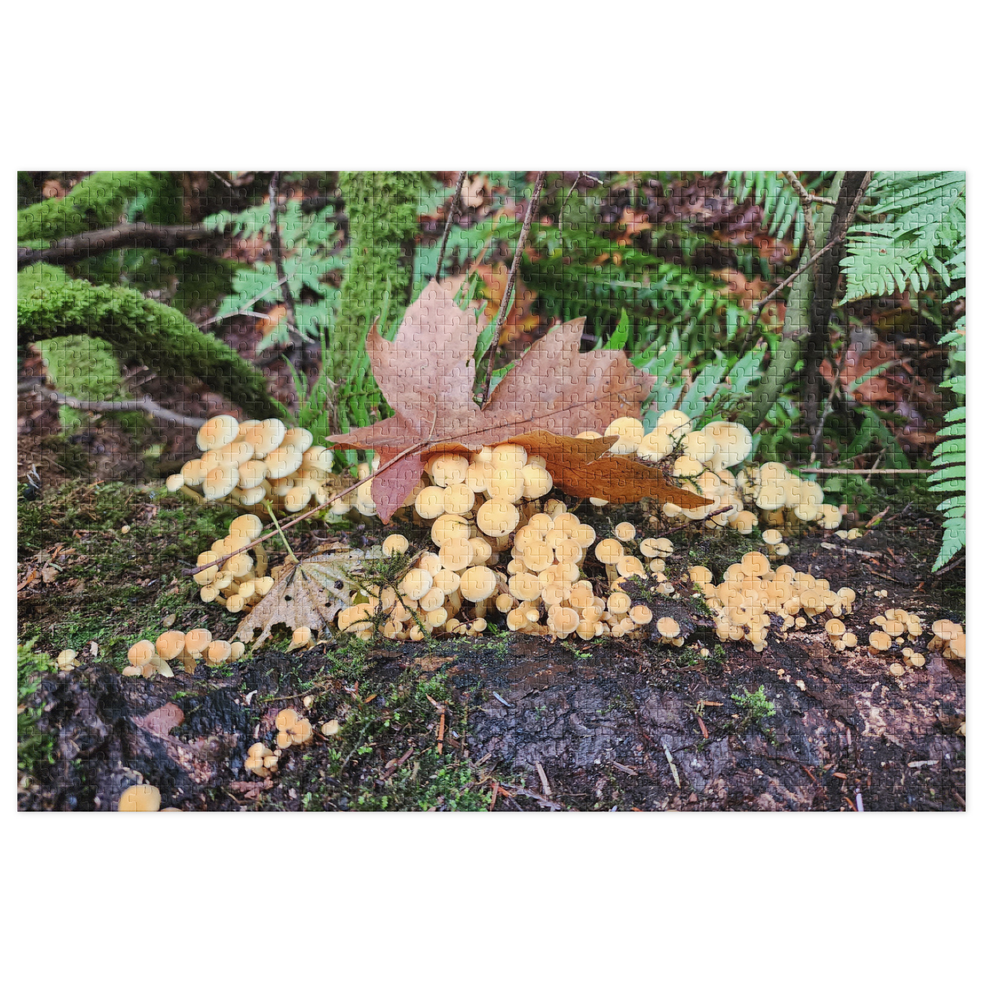 Mushrooms and leaves. - Image 2